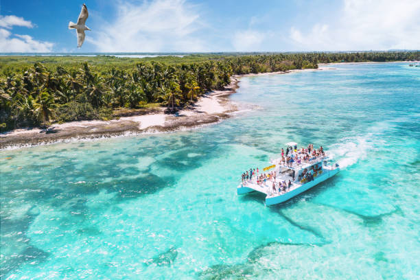 Paraíso tropical 3